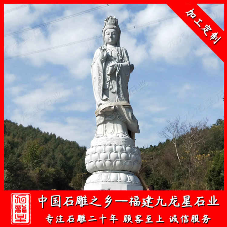 滴水觀音A (1)